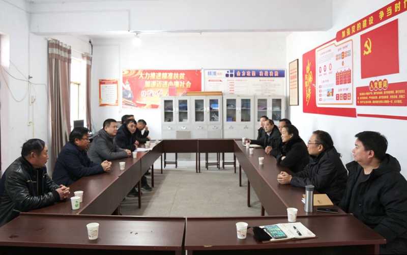 党委书记王雪云一行同虞城县县委、稍岗镇、后吴村领导和群众代表进行座谈